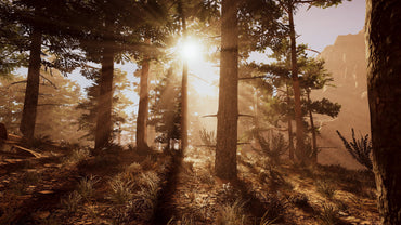 Wild West Dynasty (Ultimate Edition)