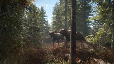 theHunter: Call of the Wild - Seasoned Hunter Bundle