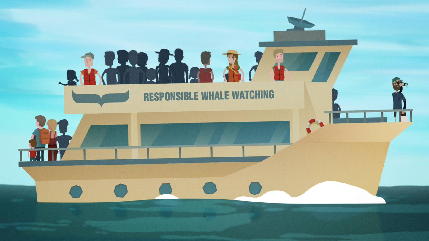 Company of Heroes 2 - Whale and Dolphin Conservation Charity Pattern Pack