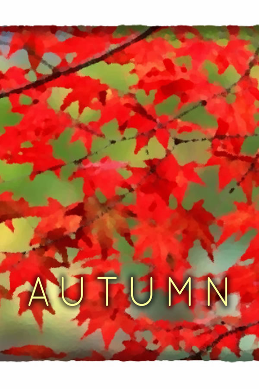 Autumn