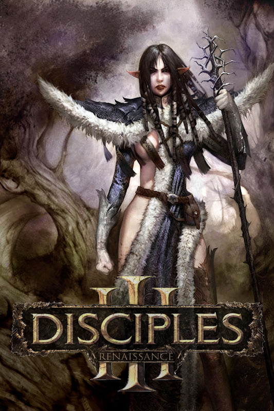 Disciples III: Renaissance