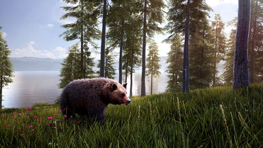 Hunting Simulator 2 - Bear Hunter Pack (DLC)