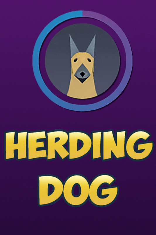 Herding Dog