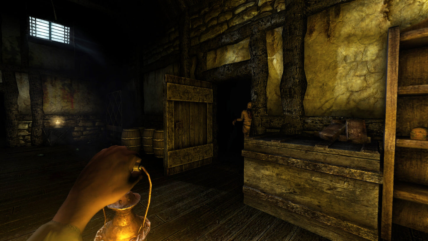 Amnesia: The Dark Descent