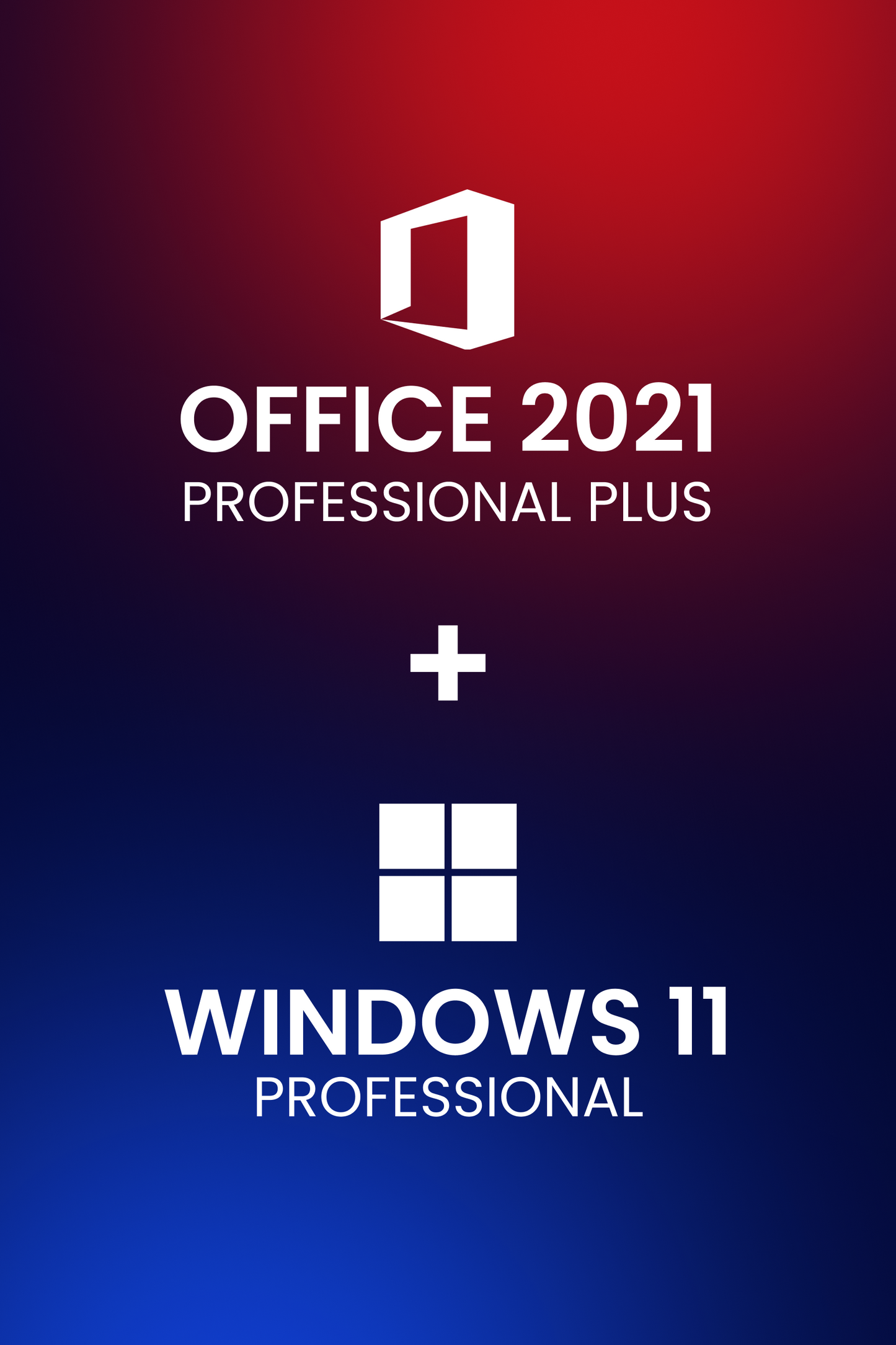 Microsoft Windows 11 Professional + Microsoft Office 2021 Professional Plus