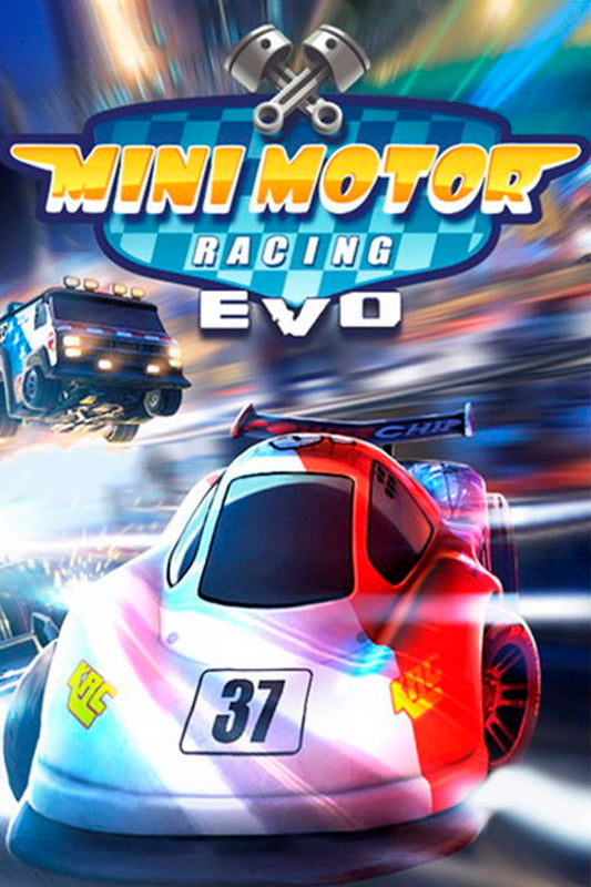 Mini Motor Racing EVO