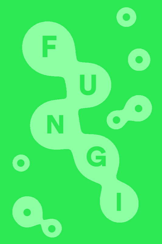 FUNGI