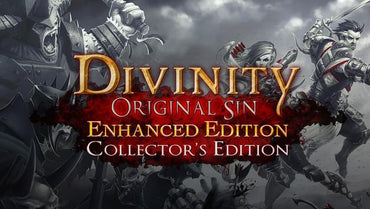 Divinity: Original Sin - Enhanced Edition Collector's Edition GOG.COM Key