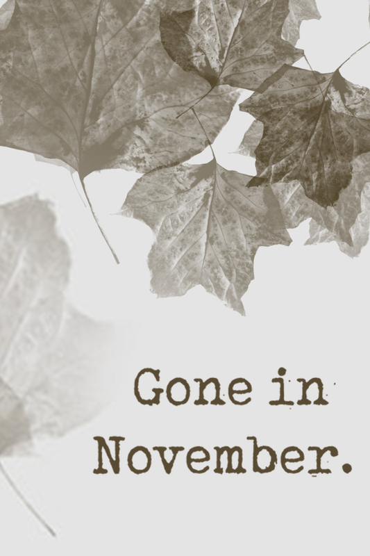 Gone In November