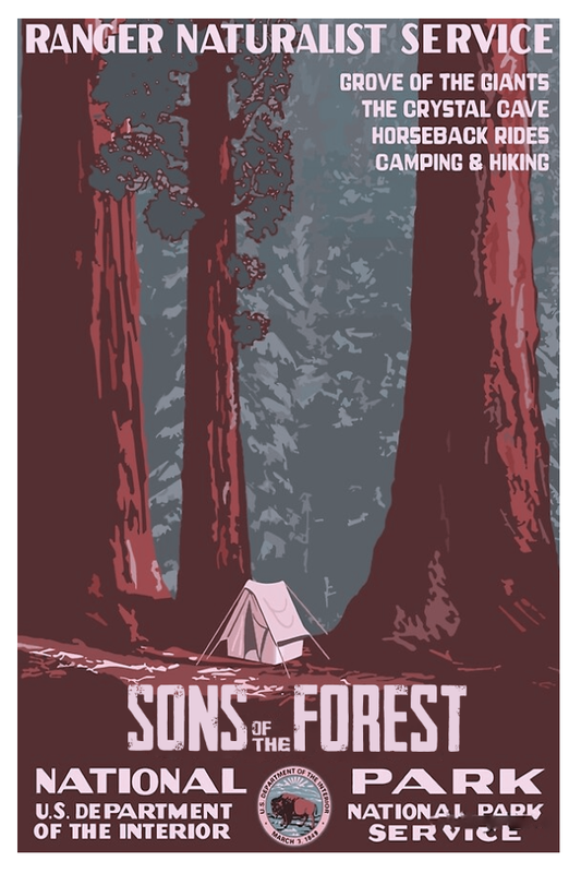Sons Of The Forest (NA)