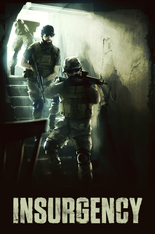 Insurgency