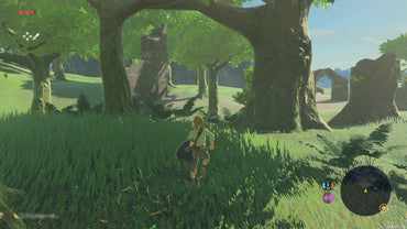 The Legend of Zelda: Breath of the Wild (EU)