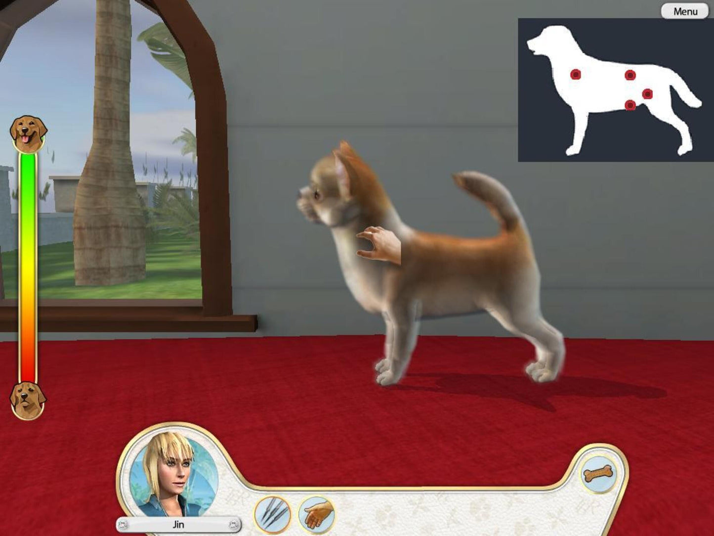 Paws and Claws: Pampered Pets