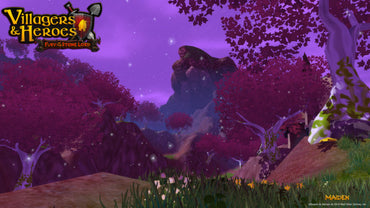 Villagers and Heroes: Hero of Stormhold Pack