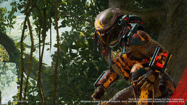Predator: Hunting Grounds - Predator DLC Bundle