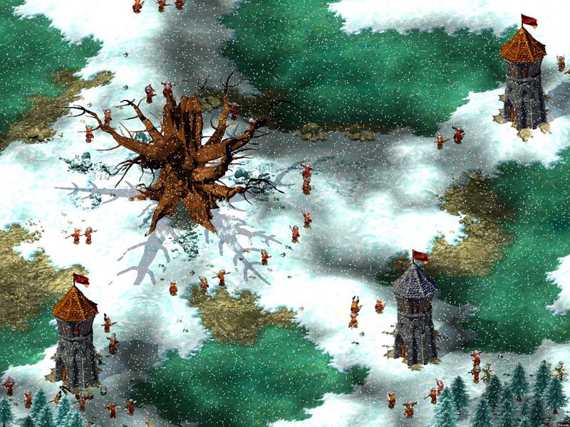 Cultures – Northland