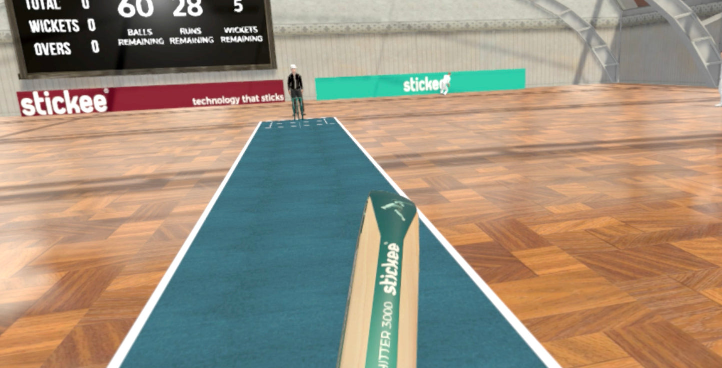 Balls! Virtual Reality Cricket