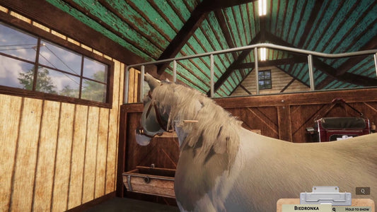 Animal Shelter - Horse Shelter (DLC)