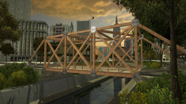 Bridge Project