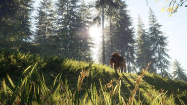 theHunter: Call of the Wild - Essentials DLC Bundle
