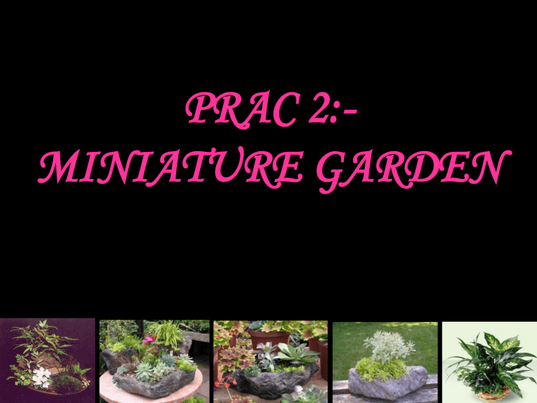 Miniature Garden