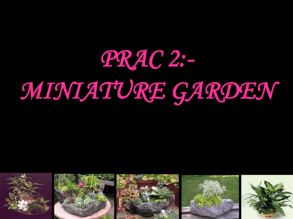 Miniature Garden