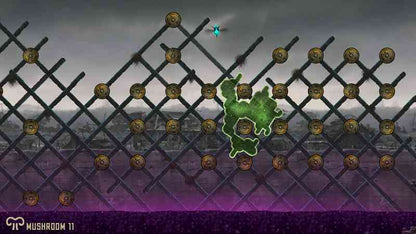 Mushroom 11