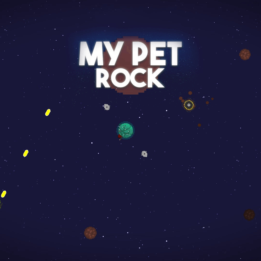 My Pet Rock