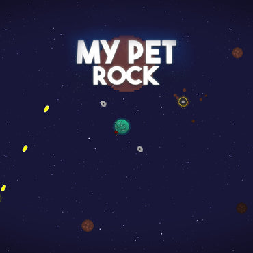 My Pet Rock