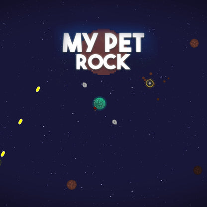 My Pet Rock
