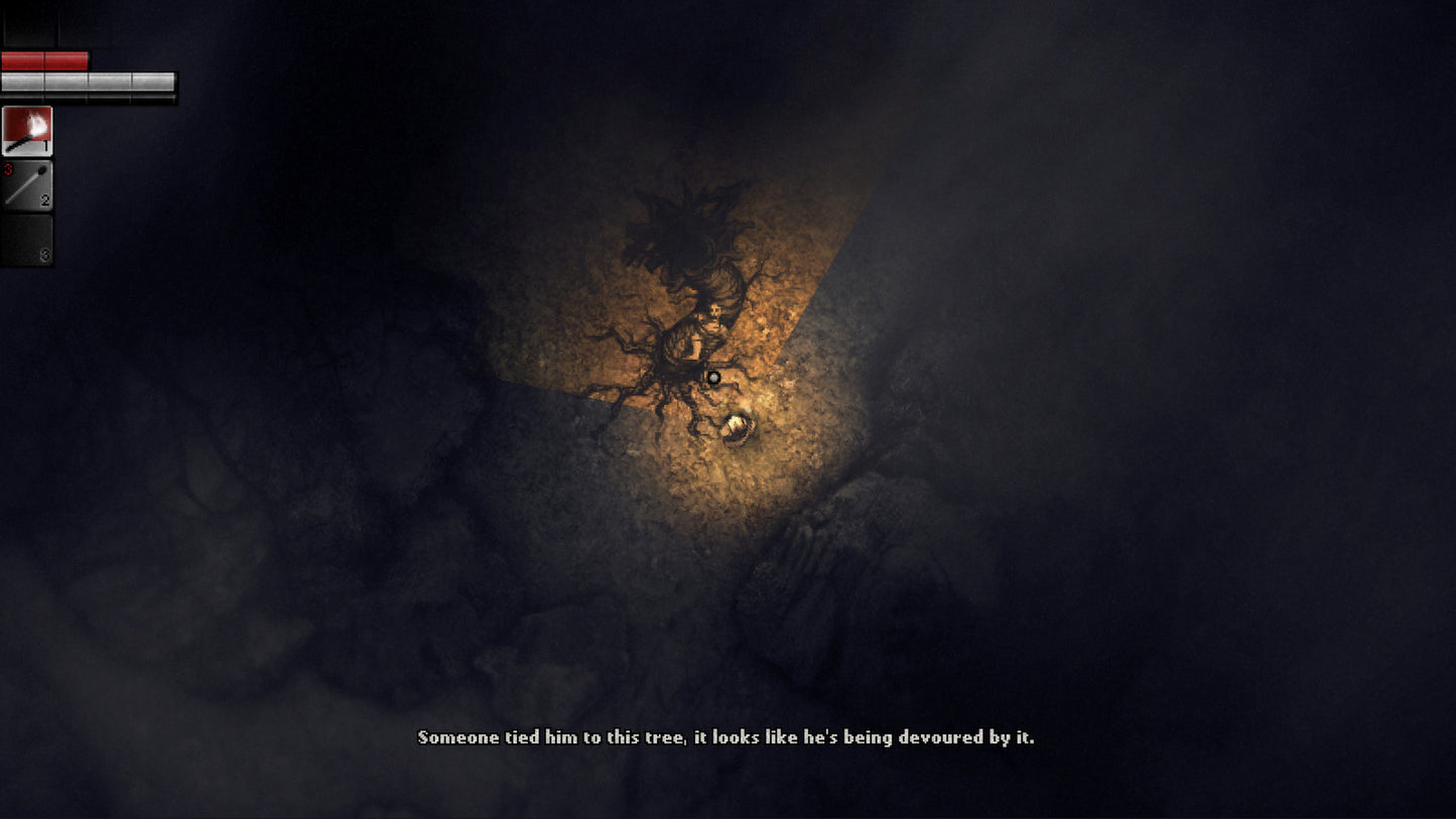 Darkwood | Deluxe Edition (Steam)