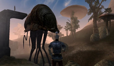 Elder Scrolls Summer Bundle (PC)