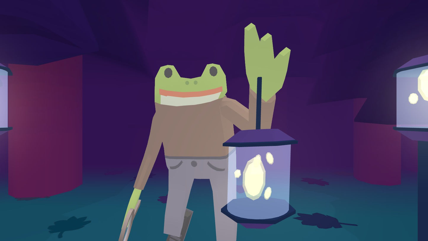 Frog Detective 2: The Case of the Invisible Wizard