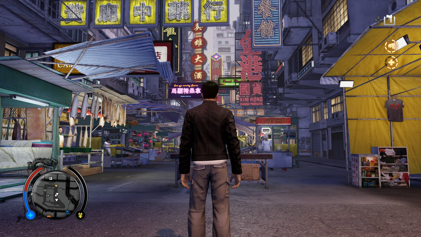 Sleeping Dogs (EU)
