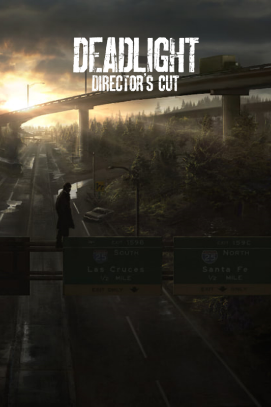 Deadlight: Director's Cut EU Steam CD Key
