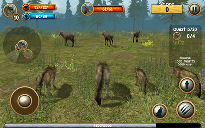 Wild Wolf