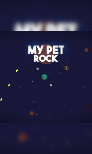My Pet Rock