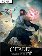 Citadels
