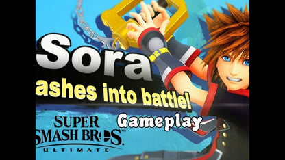 Sora