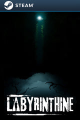 Labyrinthine