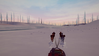 Eternal Winter