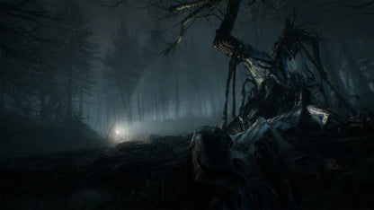 Blair Witch (EU)