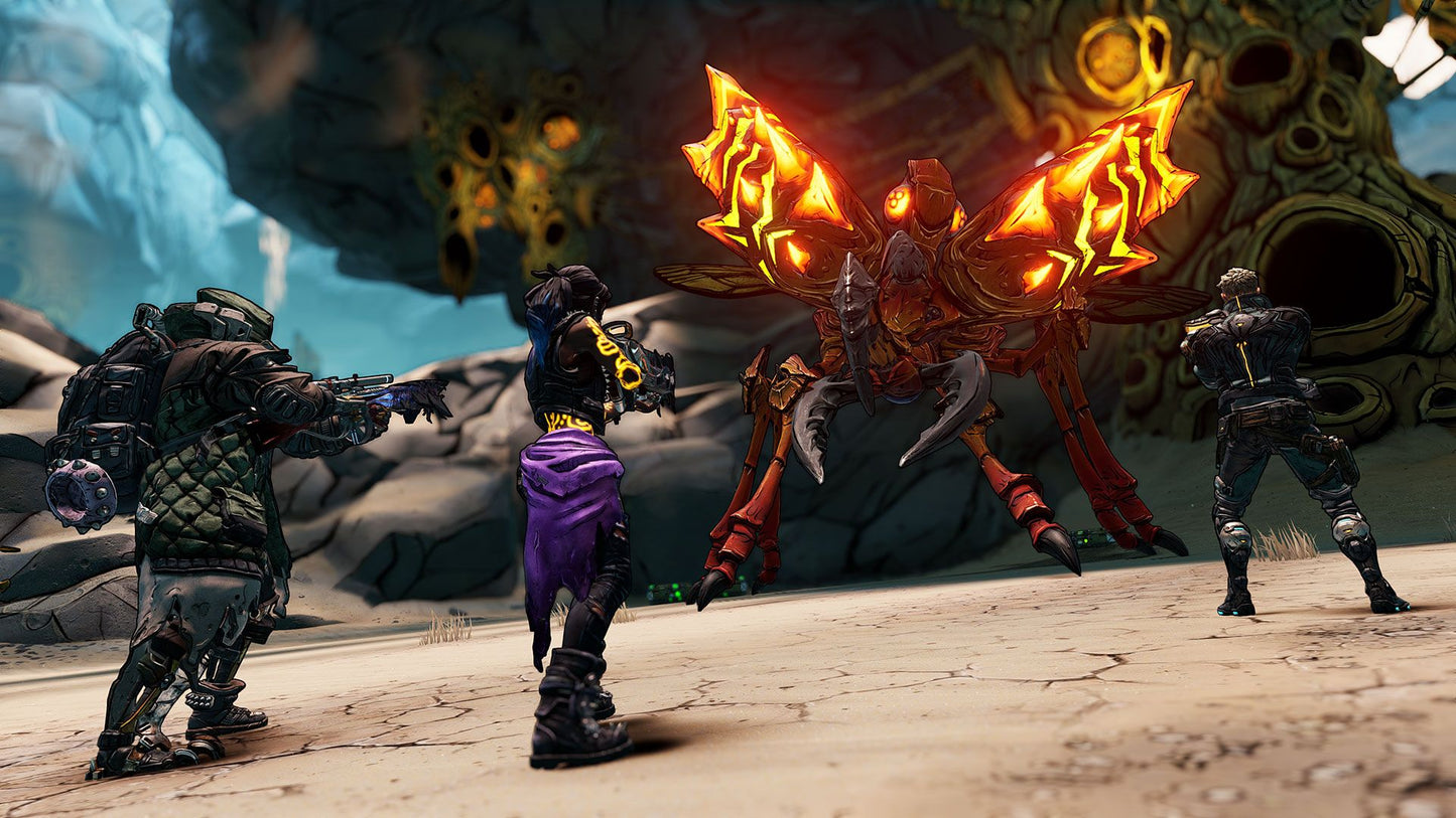 Borderlands 3: Director's Cut (DLC) (Steam) (EU)