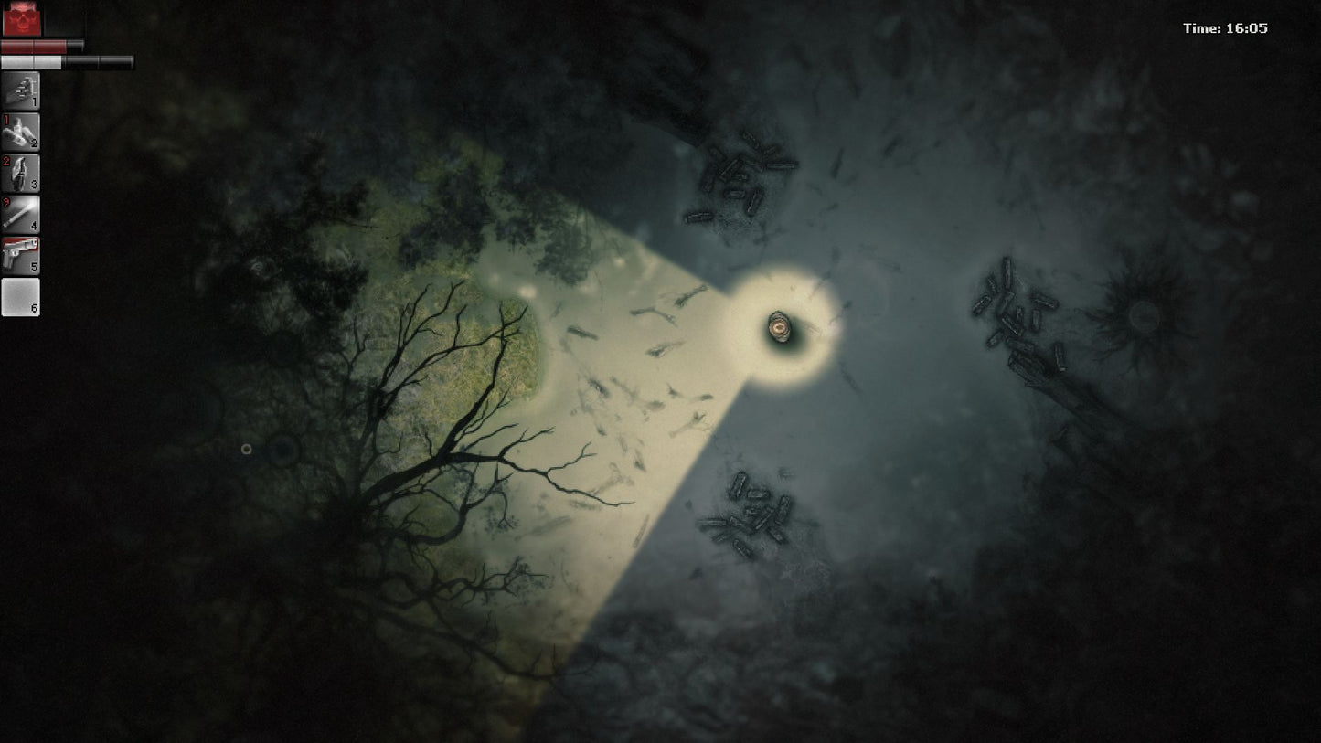 Darkwood | Deluxe Edition (Steam)