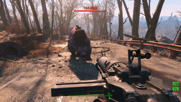 Fallout 4 (Global)