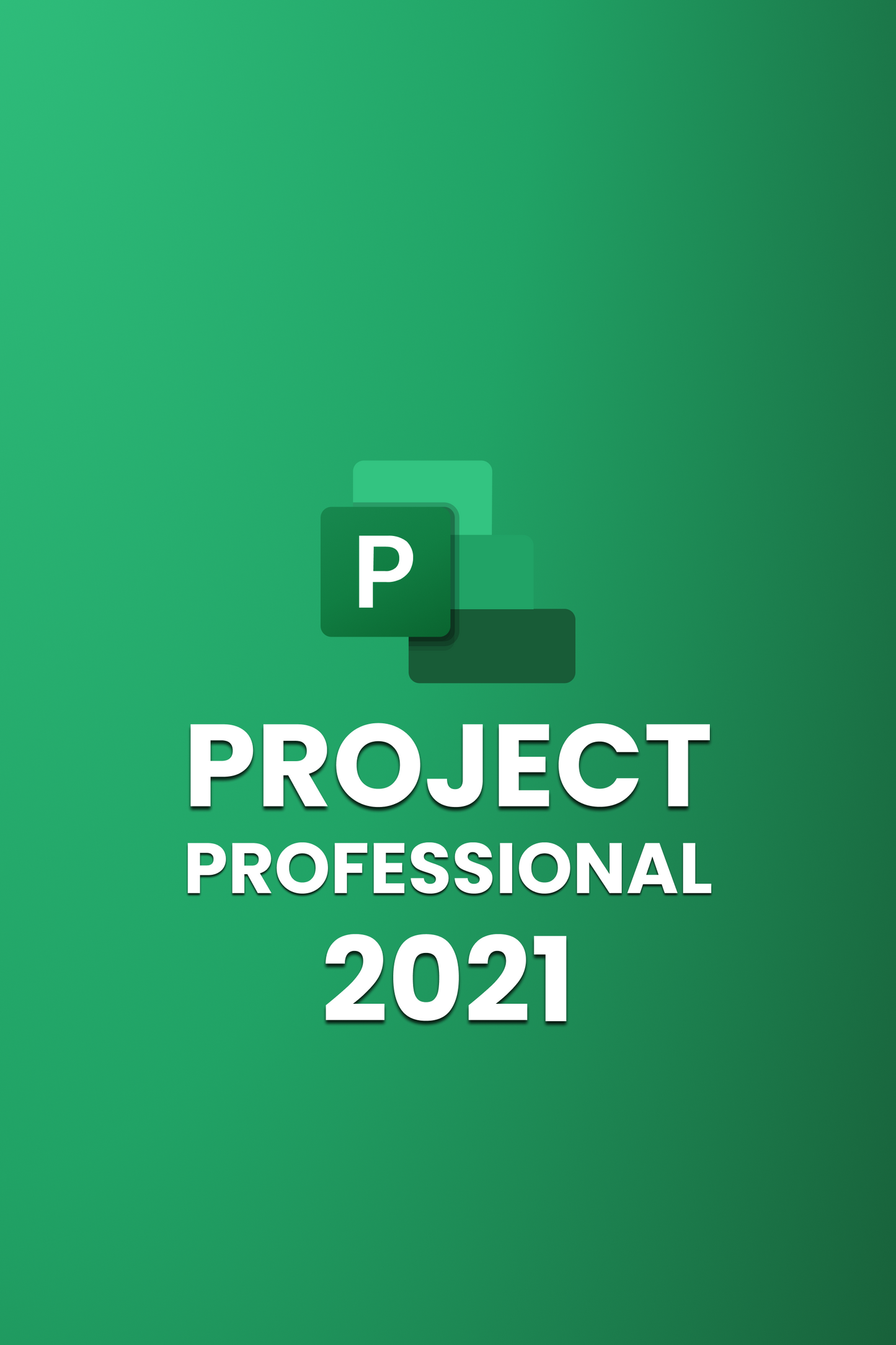 Microsoft Project 2021 Professional