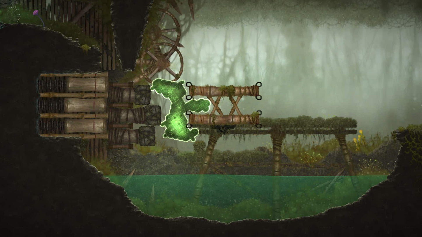 Mushroom 11
