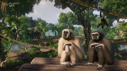 Planet Zoo: Tropical Pack (DLC) (Steam)