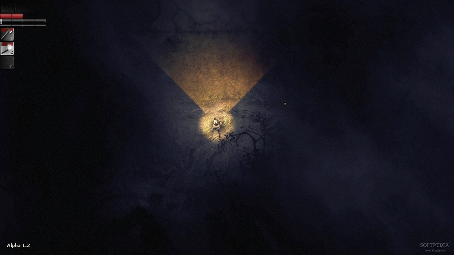 Darkwood Steam Key GLOBAL