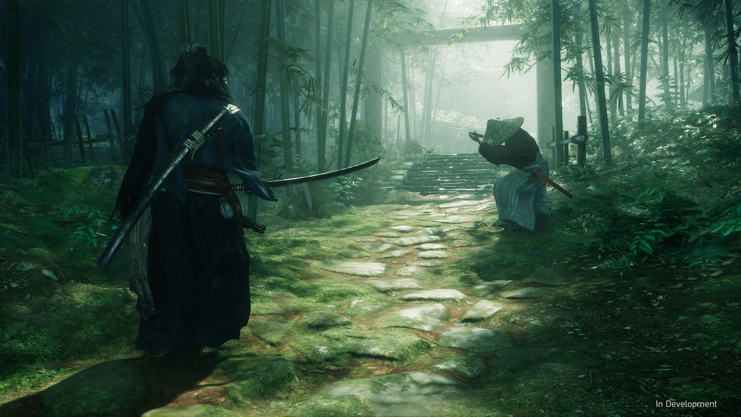 Rise of the Ronin - Pre order Bonus (PSN) (EU)